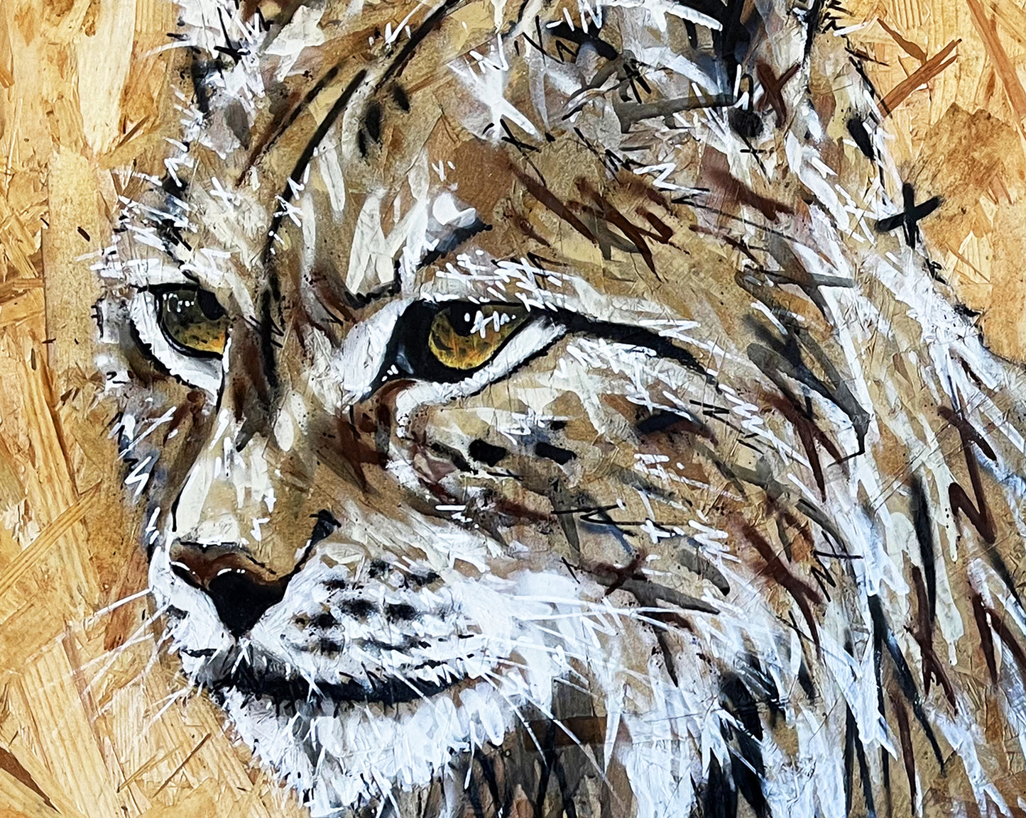 Lynx