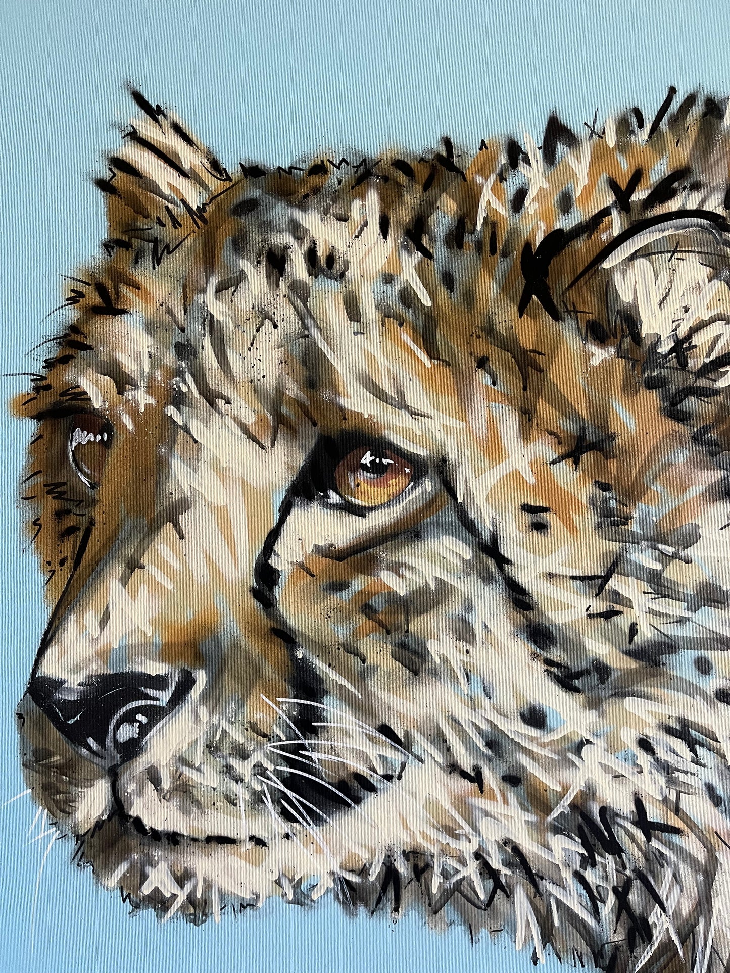 Guépard