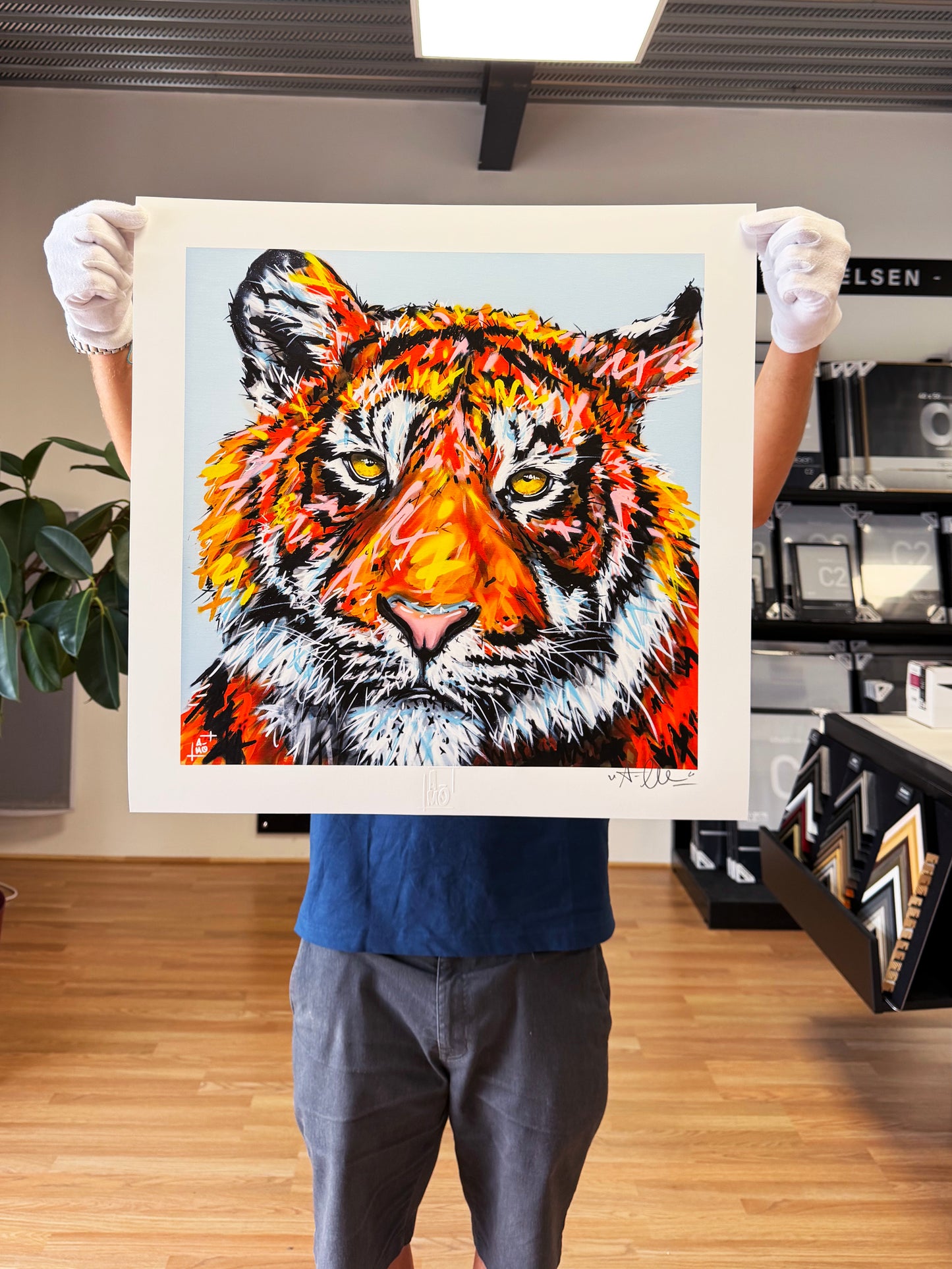 Print "Tigre"