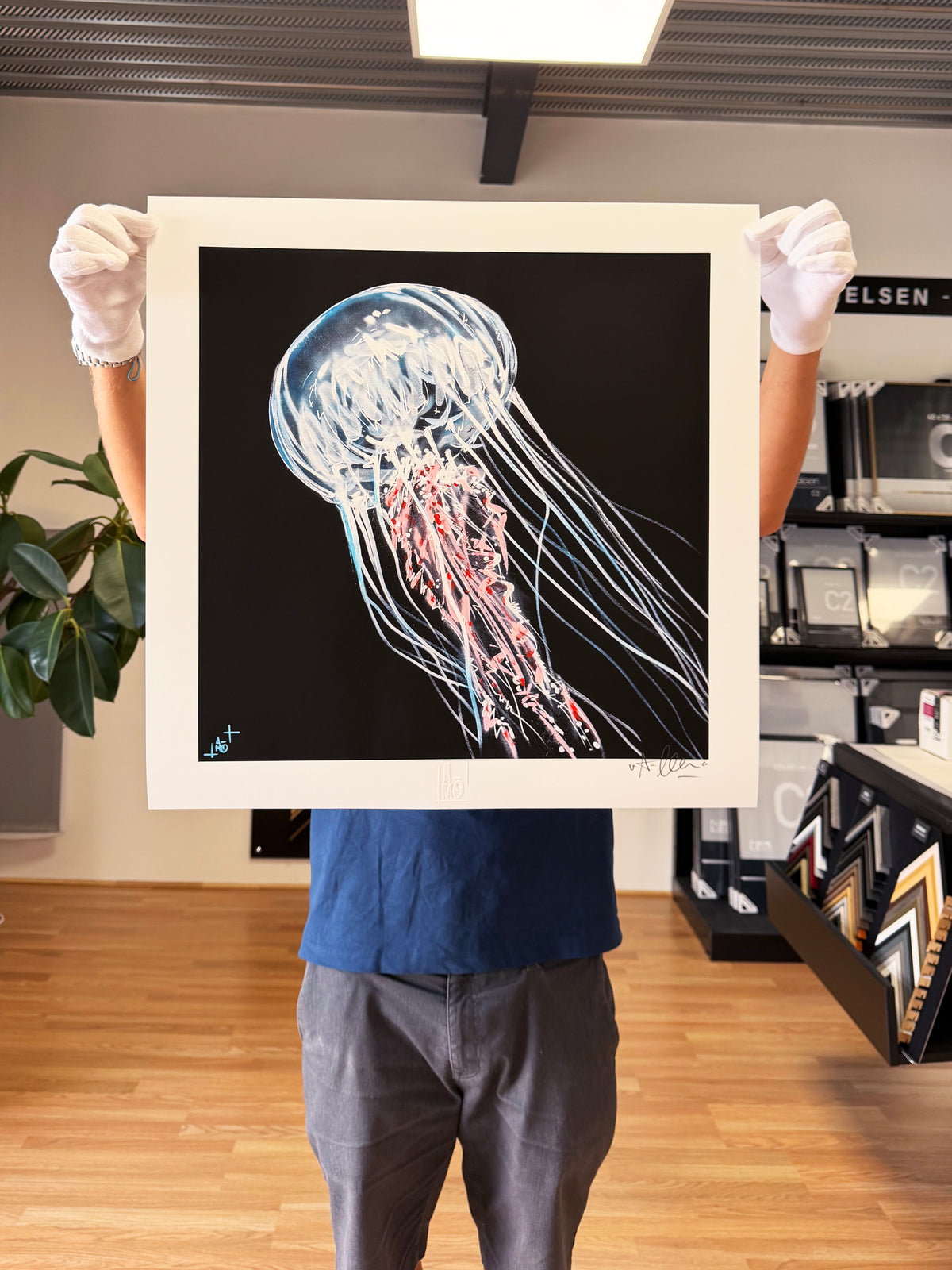 Print "Méduse"