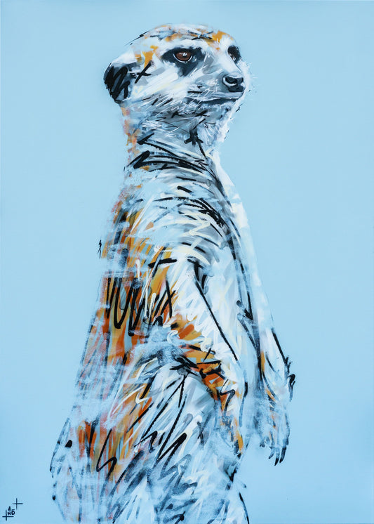 Tableau Suricate