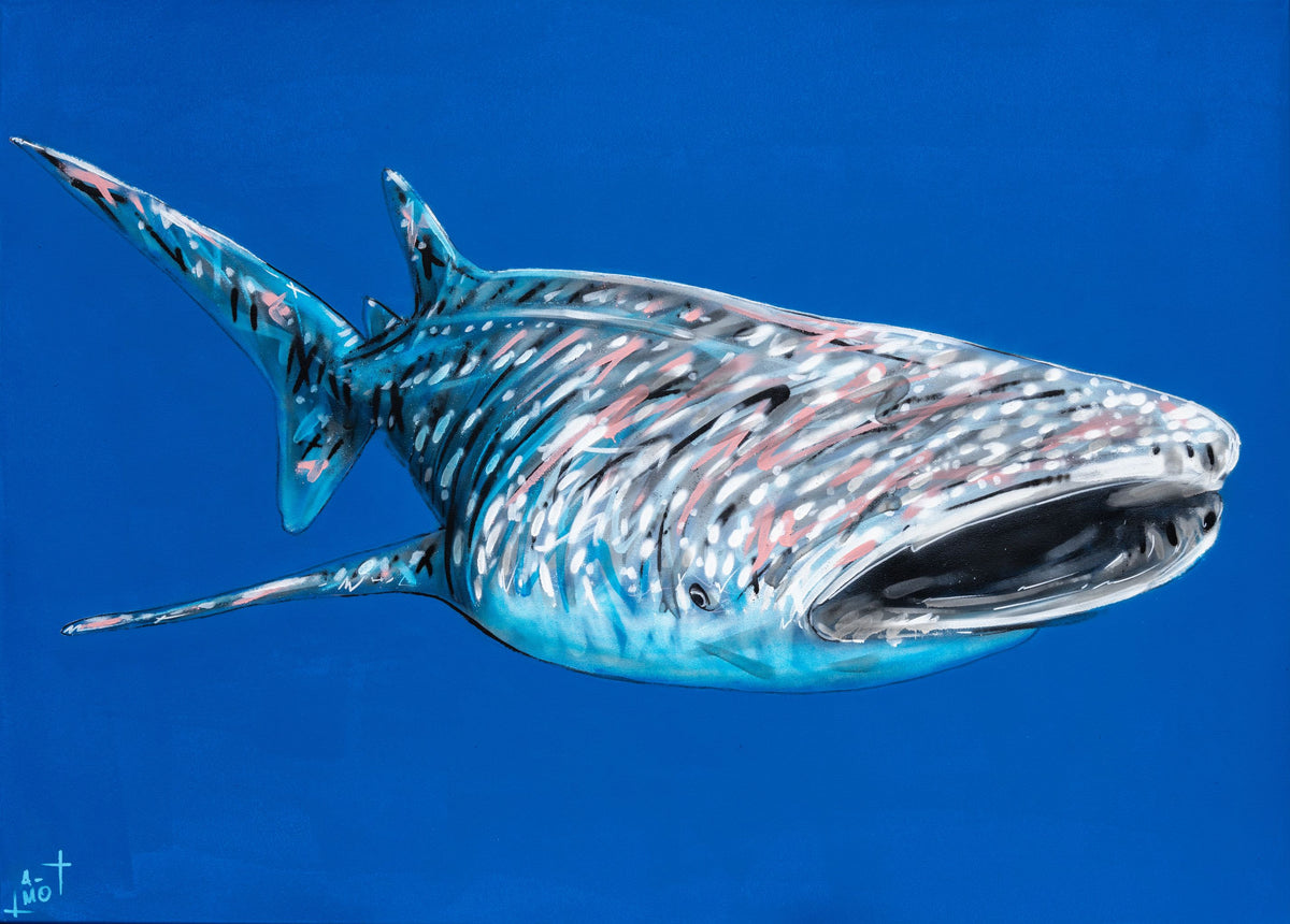 Tableau Requin baleine