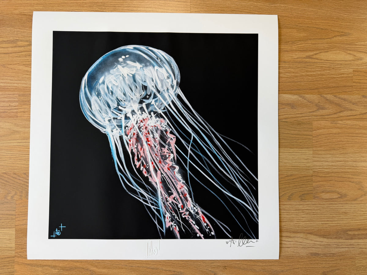Print "Méduse"
