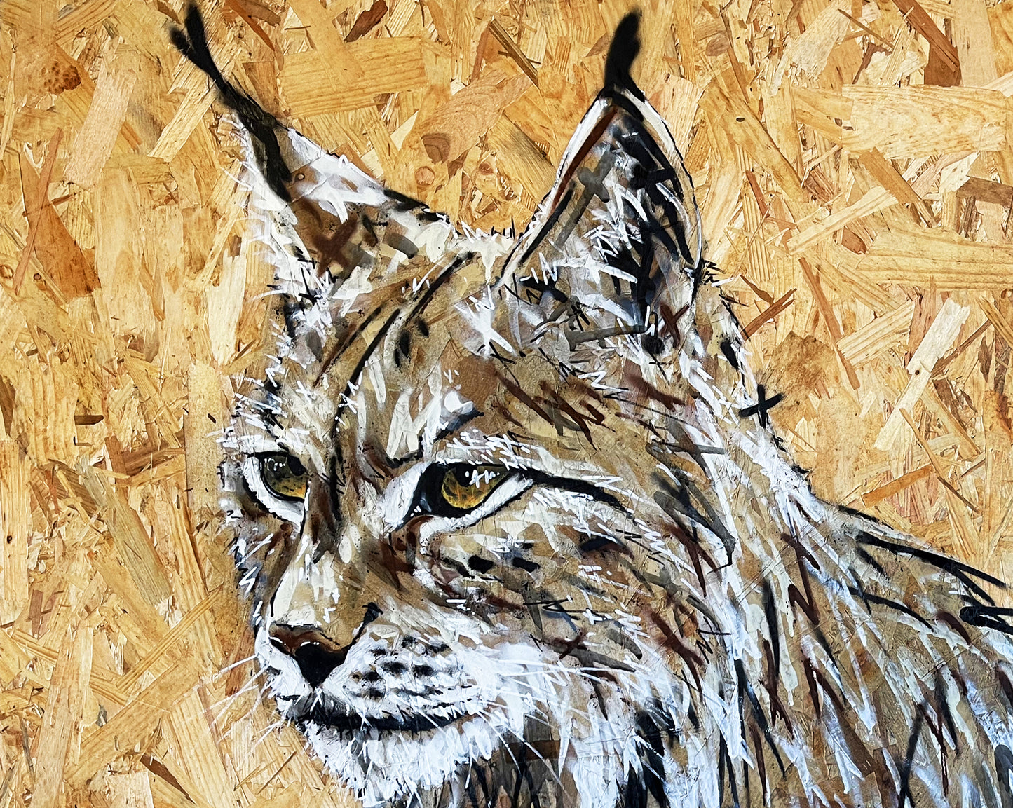 Lynx